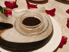 -西郊5号·Maggie 5