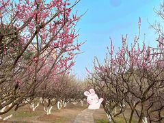 -南京古林公园