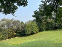 -云岗森林公园