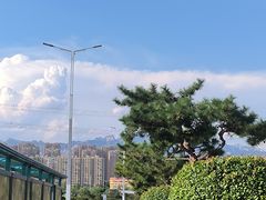 -海底捞火锅(泰安爱琴海店)