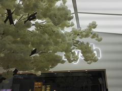 -艾薯夫妇Aysh(福田星河COCOPark店)