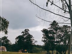 -两河城市森林公园