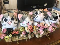 -宠爱国际动物医院·消化内科·心肾内科·ISFM猫友好(望京店)