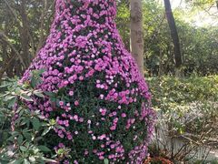 -杭州植物园