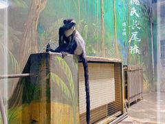 -西安秦岭野生动物园