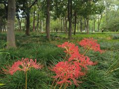 -白塘生态植物园