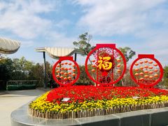 -金鸡山公园