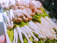-百年果林椰子鸡(中洲店)