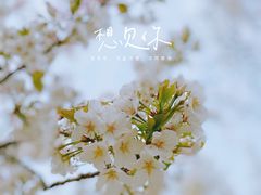 -白塘生态植物园
