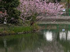 -圩墩遗址公园