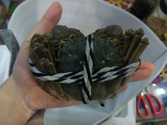 -小陆莲花蟹园农家乐(莲花岛店)