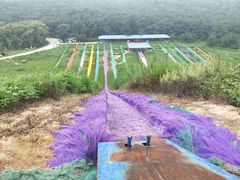 -南戴河国际娱乐中心