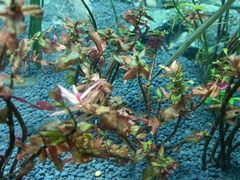 -上海海洋水族馆