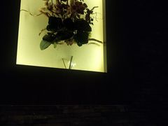 -大桶大足浴(金桥店)