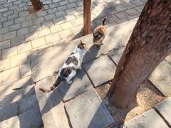 -四门塔风景区