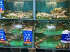 -海味当家·蒸锅海鲜(星海公园店)