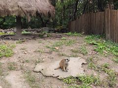 -上海野生动物园