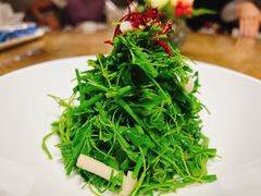 -鹿园 MOOSE(长宁店)