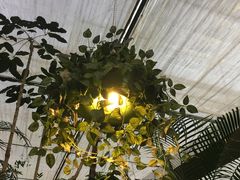 -汤山翠谷生态餐厅