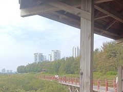 -北海金海湾红树林生态旅游区