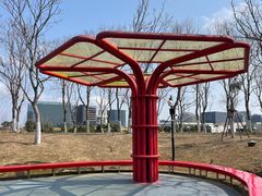 -春花秋色城市公园