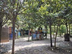 -勇士之星真人CS·团建·拓展(清水河公园店)