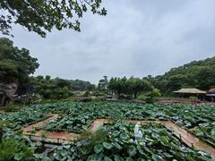 -广州莲花山旅游区