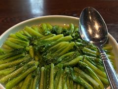 舍得-龙井草堂