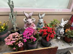 -后海16号·北京私房菜