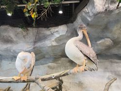 -Zoolung Zoolung动物主题公园(海信广场店)