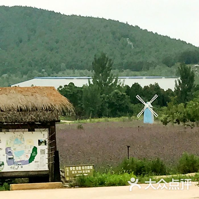 紫海藍山薰衣草莊園