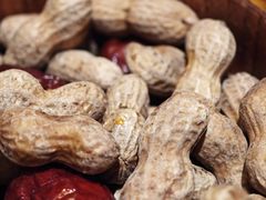 -纳鲁孜·新疆特色餐厅(上海悦荟广场店)