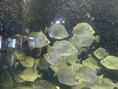 -苏州海洋馆