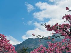 -东莞观音山旅游风景区