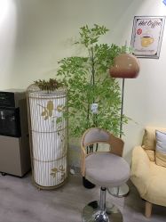-变美丽半永久纹眉连锁·机器野生眉•洗眉