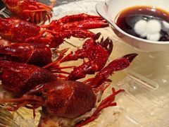 -红盔甲·小龙虾(天钥桥店)