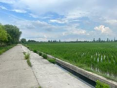 -嘉北郊野公园
