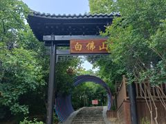 -白佛山景区