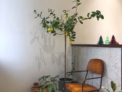 -肥朵食堂(带梦胡同店)