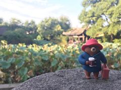 -COSTA COFFEE(上海月星环球港店)