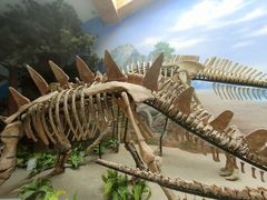 -延庆地质公园博物馆