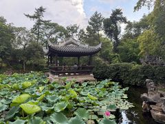 -无锡蠡湖国家湿地公园-蠡园