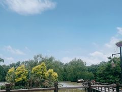-大湾区中央湿地公园