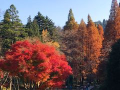 -龙宫洞风景区