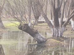 -长广溪湿地公园