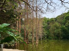 -云溪植物园