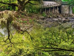 -广州市石门国家森林公园