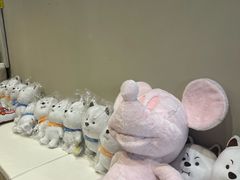 -MONANA蛋糕研究所
