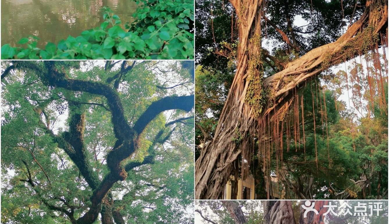 150座欧洲城堡组成的沙面岛，走到哪拍到哪