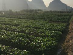 -英西峰林·洞天仙境